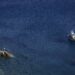 Recordbrekende zeetemperatuur in noordwestelijke Middellandse Zee