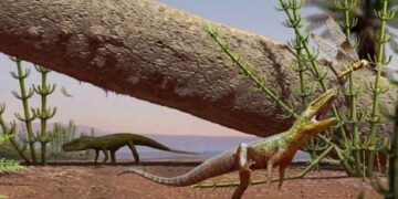 Krokodillen terreur onder dinosaurus.