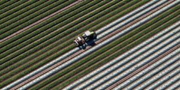 Stijging gekoppelde betalingen 2025 – Overzicht prijzen