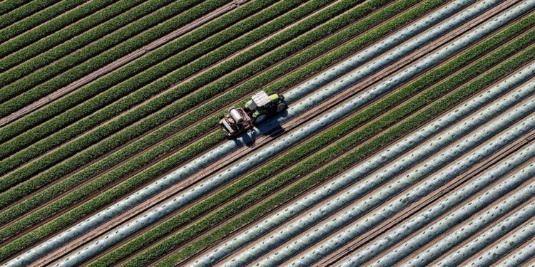Stijging gekoppelde betalingen 2025 – Overzicht prijzen