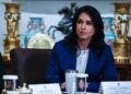 Gabbard onthult nieuwe documenten en richt pijlen op Fauci