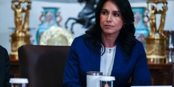Gabbard onthult nieuwe documenten en richt pijlen op Fauci