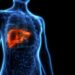 Revolutie in transplantaties: Minilever voor snellere en effectievere behandelingen