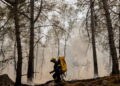 Zes gearresteerd voor brand Fontainebleau, ook vrijwillige brandweerman verdachte
