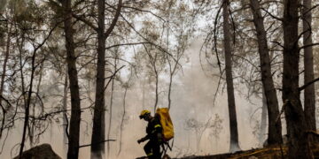 Zes gearresteerd voor brand Fontainebleau, ook vrijwillige brandweerman verdachte