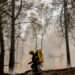 Zes gearresteerd voor brand Fontainebleau, ook vrijwillige brandweerman verdachte