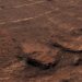 Nieuwe ontdekking Curiosity-rover op Mars verbaast wetenschappers