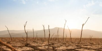 Einde der tijden: ontdekking van de laatste dag op aarde