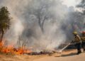 Grote brand verwoest 22.000 hectare land nabij Costa Brava