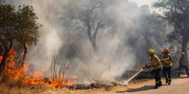 Grote brand verwoest 22.000 hectare land nabij Costa Brava
