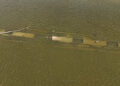 Scheepswrak uit 1937 onthuld door lage waterstand Donau