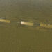 Scheepswrak uit 1937 onthuld door lage waterstand Donau