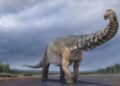 Ontdekking van cricketveld in Thailand leidt tot nieuwe dinosaurussoort