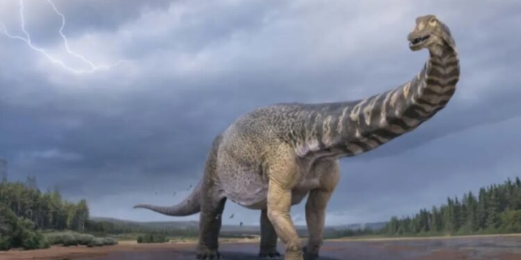 Ontdekking van cricketveld in Thailand leidt tot nieuwe dinosaurussoort