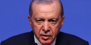 Erdogan boekt kleine overwinning bij NAVO-top