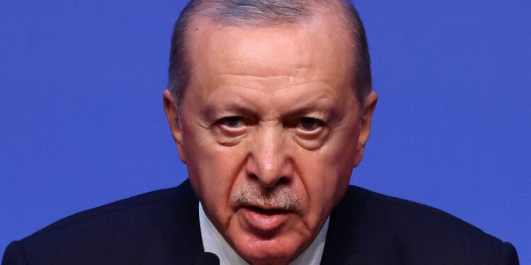 Erdogan boekt kleine overwinning bij NAVO-top