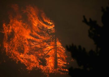Duizenden mensen ontvluchten branden in Spanje en Frankrijk
