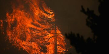 Duizenden mensen ontvluchten branden in Spanje en Frankrijk