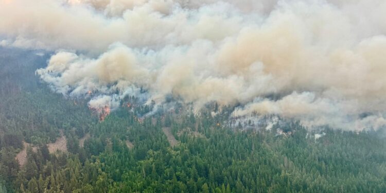 Canada brandt: 1.000 actieve fronten, Ontario-gemeenschap geëvacueerd