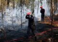 Zes gearresteerd bij brand in Fontainebleau, ook vrijwillige brandweerman betrokken