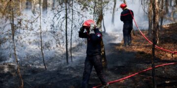 Zes gearresteerd bij brand in Fontainebleau, ook vrijwillige brandweerman betrokken