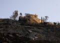 66.000 hectare verwoest door vuur in Almeria – Strijd om kuststeden te redden.