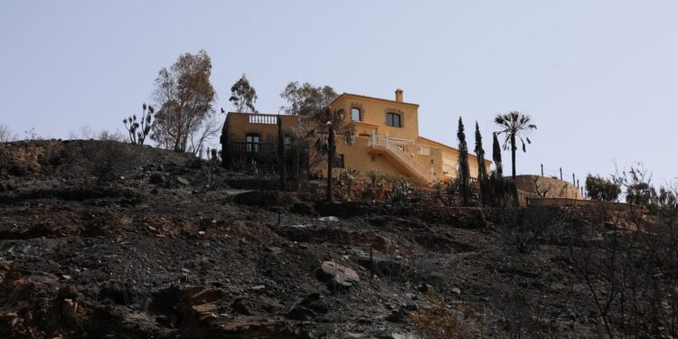 66.000 hectare verwoest door vuur in Almeria – Strijd om kuststeden te redden.