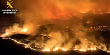 Rampzalige bosbranden verwoesten 280.000 hectare in Spanje