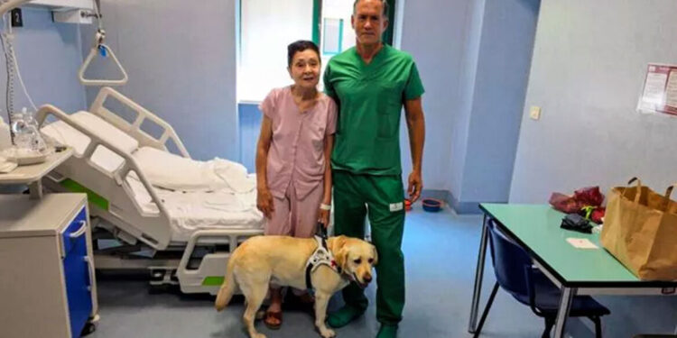 Doorbraak: Italiaanse artsen transplanteren macula en blinde vrouw kan weer zien