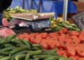 Digitale uitgifte van documenten voor landbouwproducten – Vragen en antwoorden