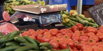 Digitale uitgifte van documenten voor landbouwproducten – Vragen en antwoorden