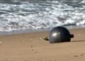 Mysterie van metalen ballen op Australisch strand onthuld door ruimtevaartagentschap