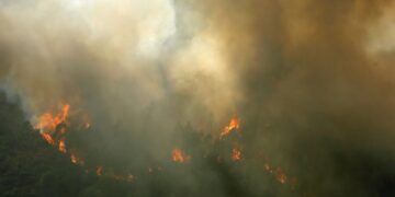 Bosbranden in Portugal: Europa en Marokko gevraagd om hulp