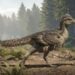 Ontbrekende schakel gevonden in evolutie van vogels vanaf dinosauriërs