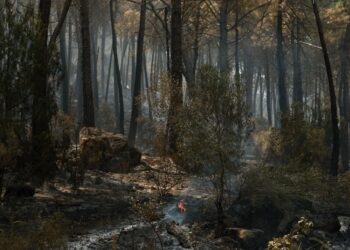 Evacuatiebevel opgeheven voor gemeenschappen in Avila en Madrid