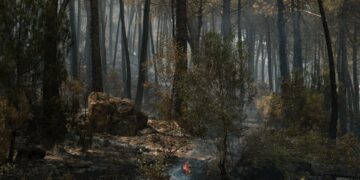 Evacuatiebevel opgeheven voor gemeenschappen in Avila en Madrid