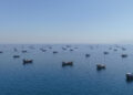Iran stopt schepen en tankers: spanning in Hormuz en Golf van Oman