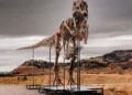 De machtige T. Rex: recordbrekende dinosaurus geveild