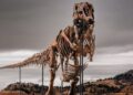 T-Rex-skelet verkocht in New York voor $50 miljoen