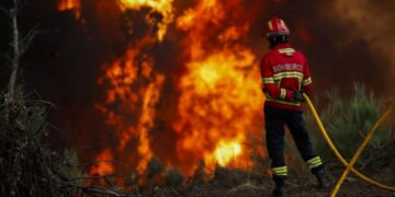 Tienduizenden hectares in brand: Frankrijk, Spanje en Portugal getroffen