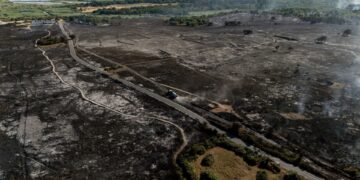 Suffolkse brand verwoest natuurreservaat, National Trust start inzamelingsactie.
