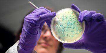 Waarschuwing na dodelijke salmonella-uitbraak met honderden zieken