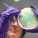 Waarschuwing na dodelijke salmonella-uitbraak met honderden zieken