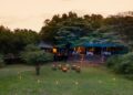Prachtige luxe safari lodges: van boomtoppen tot scheepswrakcabines.
