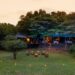 Prachtige luxe safari lodges: van boomtoppen tot scheepswrakcabines.