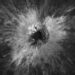 Reusachtige asteroïde raakt maan in uniek moment