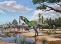 Nieuwe dinosaurussoort ontdekt in VK na 100 jaar in lade.