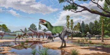 Nieuwe dinosaurussoort ontdekt in VK na 100 jaar in lade.