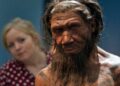 Neanderthalers tonen zowel geweld als zorg, botten uit Iraakse grot suggereren.
