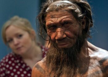 Neanderthalers tonen zowel geweld als zorg, botten uit Iraakse grot suggereren.